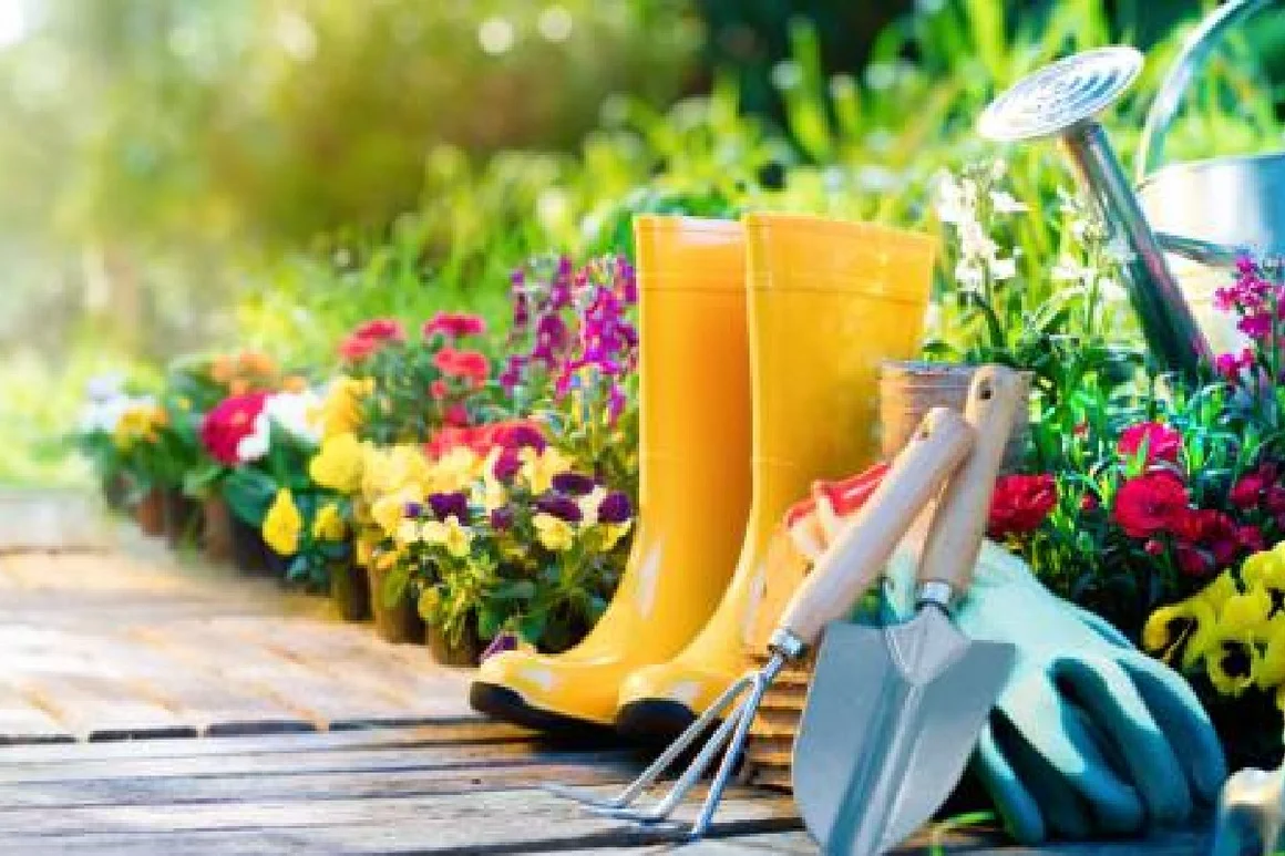 Blumen, Gießkanne und Gartenwerkzeug